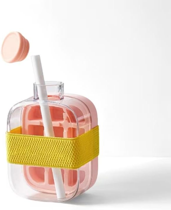 500ml Built-In Ice Cube Mold and Straw Refreshing Summer Ice Leak-Proof Bottle